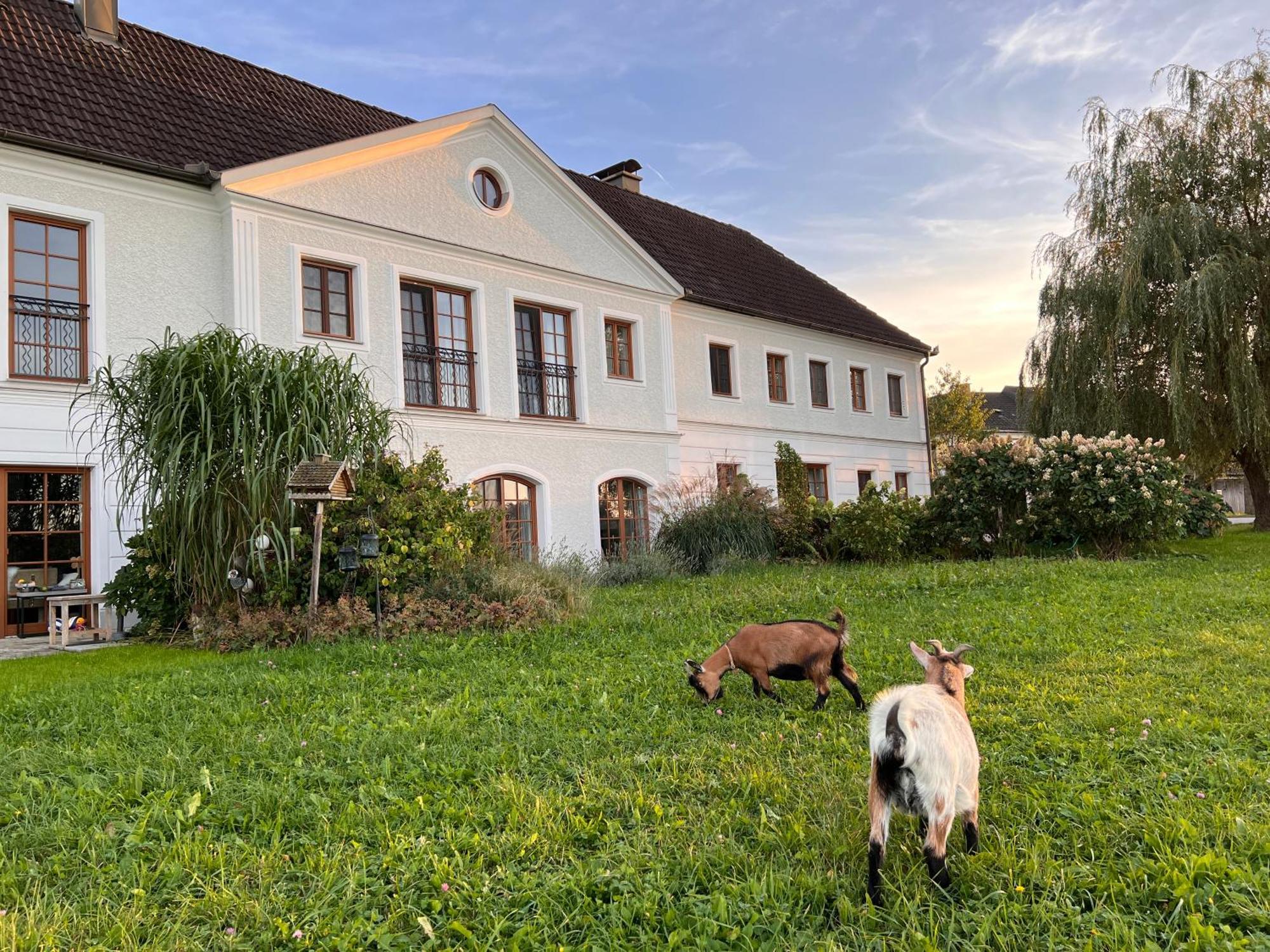 Apartmán Landhaus Aigner Allhartsberg Exteriér fotografie