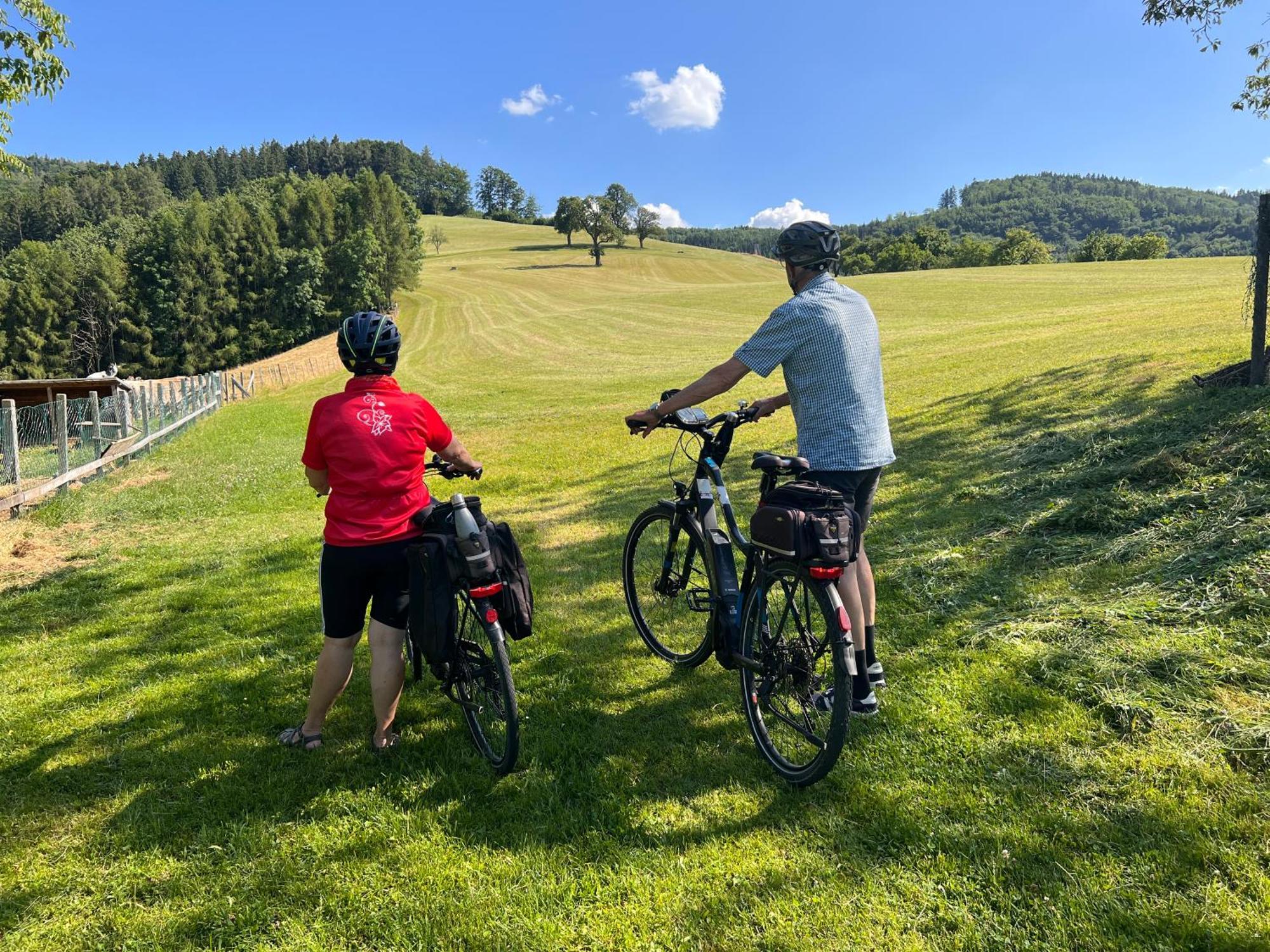 Apartmán Landhaus Aigner Allhartsberg Exteriér fotografie