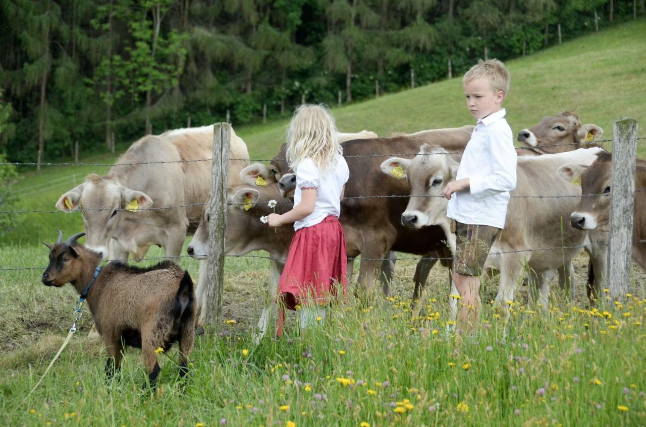 Apartmán Landhaus Aigner Allhartsberg Exteriér fotografie